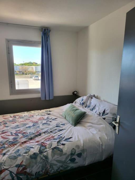 Location Les Pieds Dans L'eau Canet-en-Roussillon